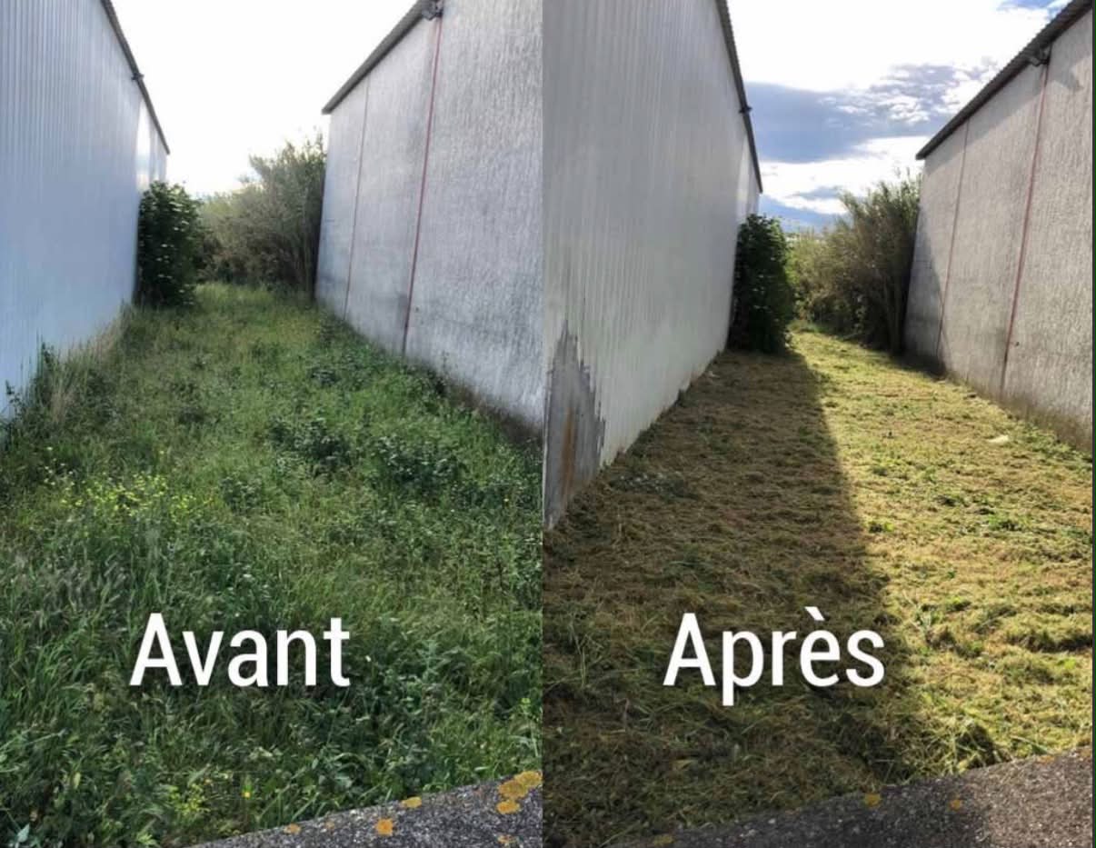 Désherbage d'allée
